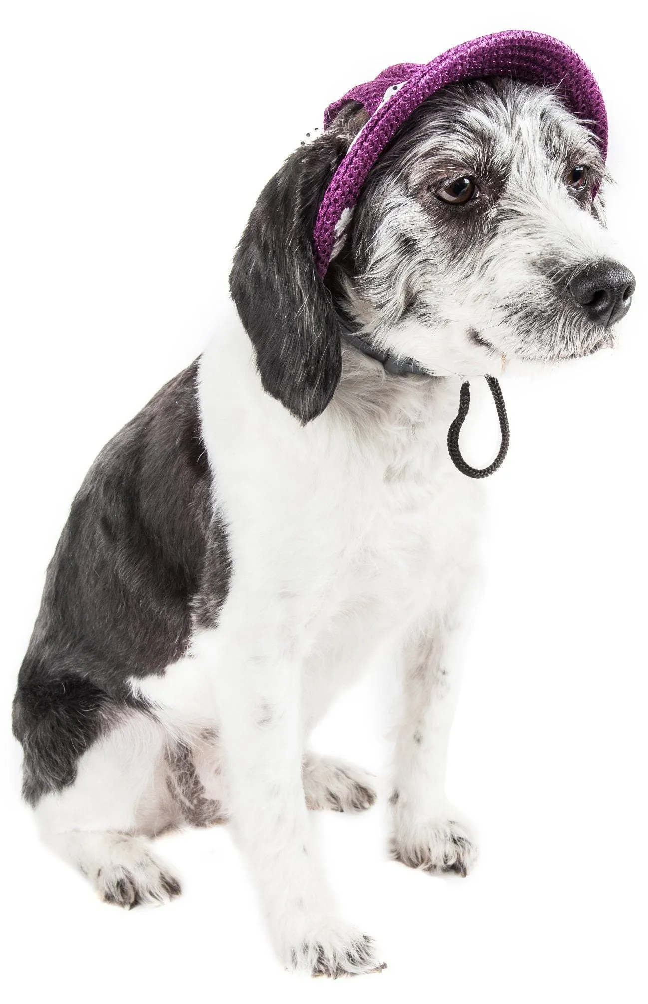 Pet Life ®  'Sea Spot Sun' UV Protectant Adjustable Fashion Mesh Brimmed Dog Hat Cap
