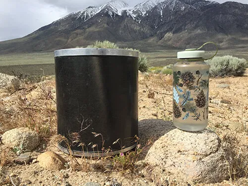 Weekender Bearikade Canister Rental: IN-STORE Pick-Up